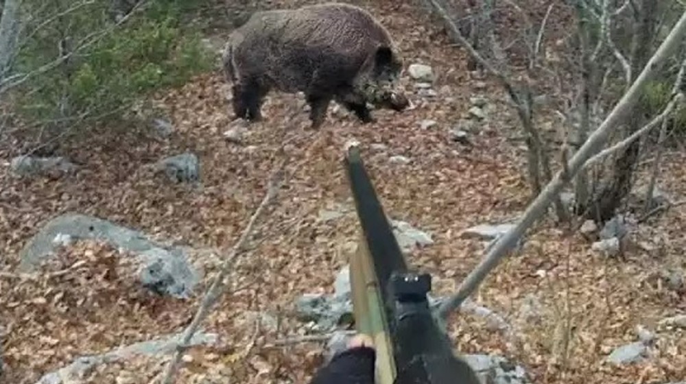 Πυροβόλησαν 43χρονο κατά τη διάρκεια κυνηγιού αγριογούρουνου στη Φλώρινα