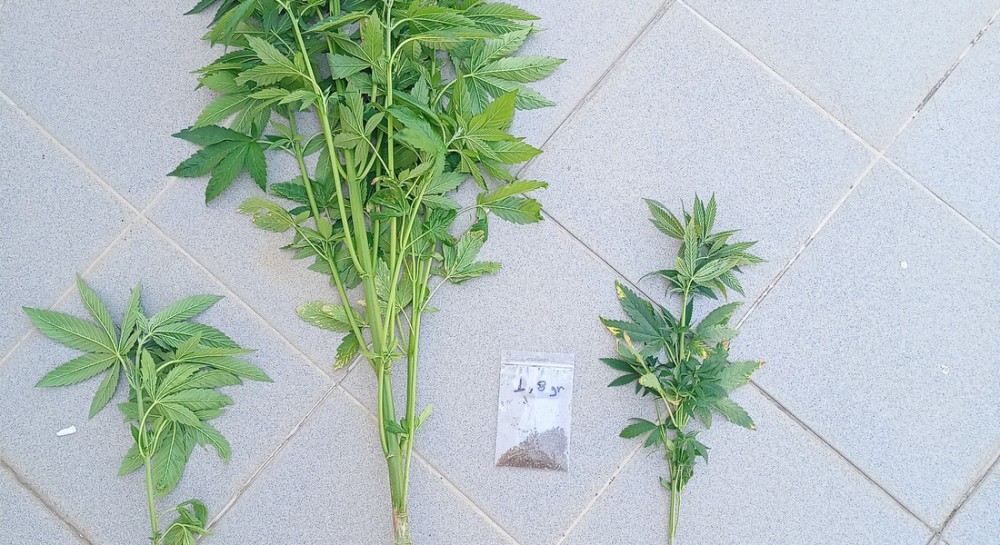 ΔΡΟΣΙΑ ΧΑΛΚΙΔΑΣ: Συνελήφθη 63χρονος για κατοχή ναρκωτικών στο Αλιευτικό Καταφύγιο