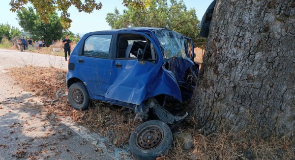 ΒΟΙΩΤΙΑ: 19χρονο παλικάρι καρφώθηκε σε δέντρο και έχασε τη ζωή του