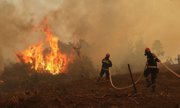 ΦΩΤΙΕΣ - ΕΥΒΟΙΑ: Ξεκινούν οι αιτήσεις αποζημίωσης για τους πυρόπληκτους