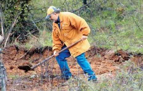 Eυβοιώτης ο Indiana Jones των Tρικάλων