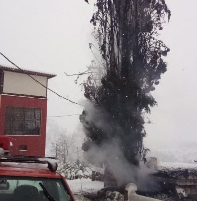 ΜΑΚΡΥΜΑΛΛΗ: Κυπαρίσσι έπιασε φωτιά από κεραυνό