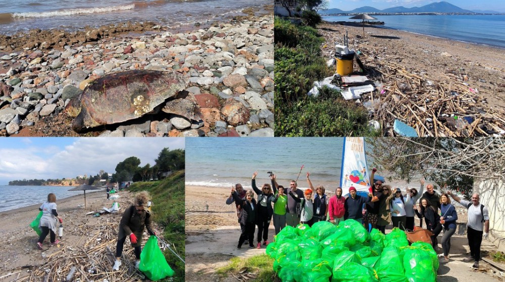 ΧΑΛΚΙΔΑ- ΕΞΩ ΠΑΝΑΓΙΤΣΑ: Καθαρισμός-ανάσα στην παραλία Αγράμπελης με ισχυρό μήνυμα για το περιβάλλον