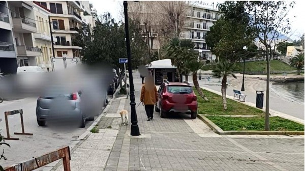 ΧΑΛΚΙΔΑ: Απίστευτο παρκάρισμα στον πεζόδρομο της Σουβάλας