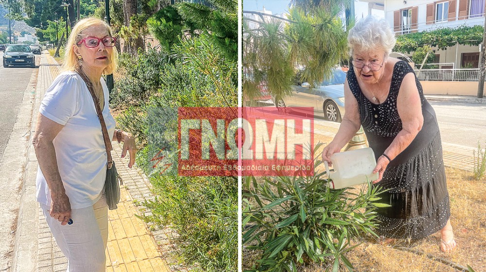 ΑΓΙΟΣ ΙΩΑΝΝΗΣ ΧΑΛΚΙΔΑ: Eγιναν κηπουροί λόγω αδιαφορίας