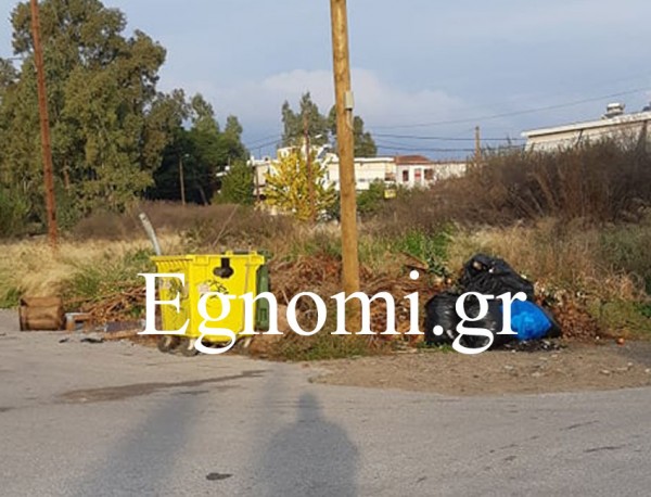 ΧΑΛΚΙΔΑ: Εβγαλαν ... ρίζες τα σκουπίδια