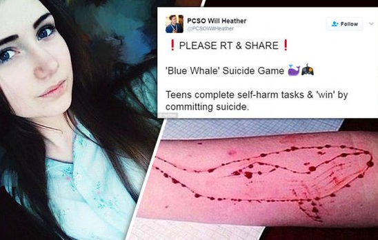 Προσοχή στο διαδικτυακό παιχνίδι με την μπλε φάλαινα