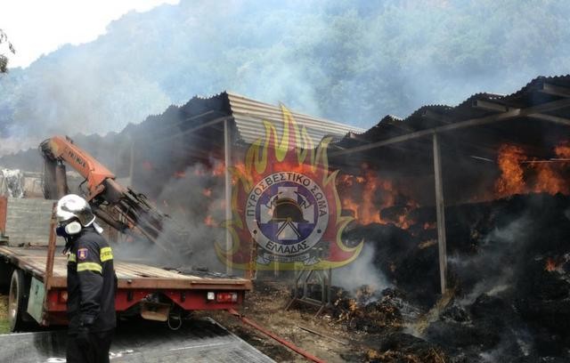 ΒΟΙΩΤΙΑ: Μεγάλη φωτιά σε πτηνοτροφείο προκάλεσε σοβαρές υλικές ζημιές