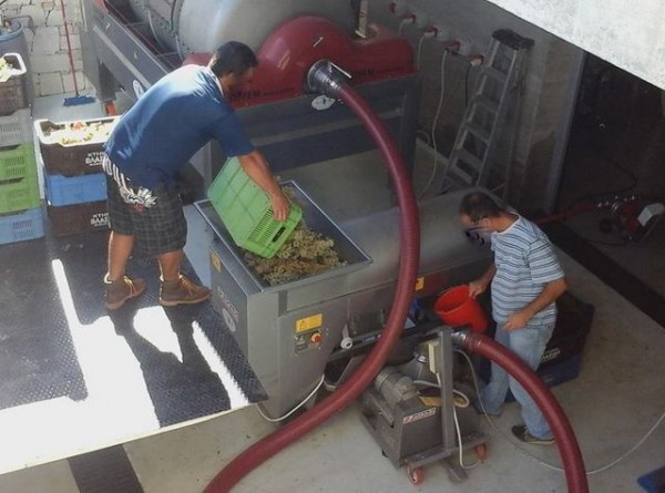 ΤΡΑΓΩΔΙΑ: Ανακάτευε το μούστο και έπεσε νεκρός 28χρονος