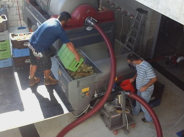 ΤΡΑΓΩΔΙΑ: Ανακάτευε το μούστο και έπεσε νεκρός 28χρονος
