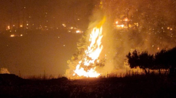 ΦΩΤΙΑ - ΕΥΒΟΙΑ: Μάχη με τις συνεχείς αναζωπυρώσεις - Κινητοποίηση στο μέτωπο της Γαλατσώνας