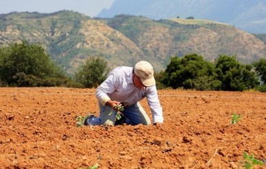 Ενημέρωση σε νέους αγρότες
