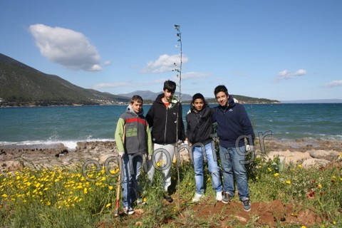 Πρασίνισαν τις ακτές