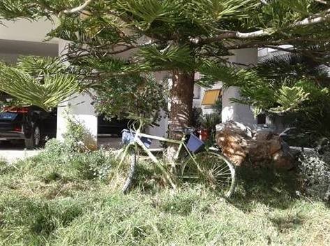 ΧΑΛΚΙΔΑ: Διακοσμητικό ποδήλατο στην πιλοτή πολυκατοικίας