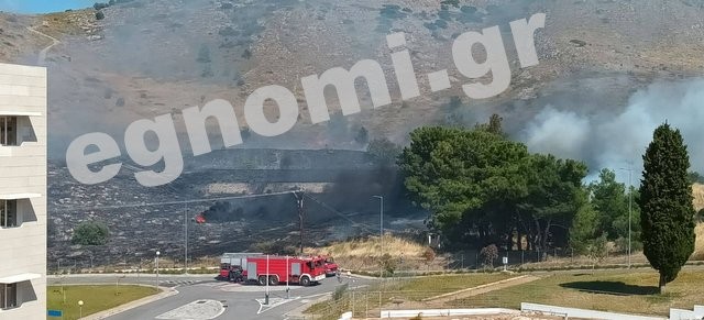 ΧΑΛΚΙΔΑ: Τέθηκε υπό έλεγχο η φωτιά πίσω από το Νοσοκομείο - Κανονικά η κυκλοφορία προς Νότιο Εύβοια
