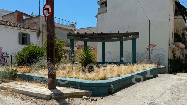 ΧΑΛΚΙΔΑ: Ακαθάριστα παραμένουν πολλά παρτέρια