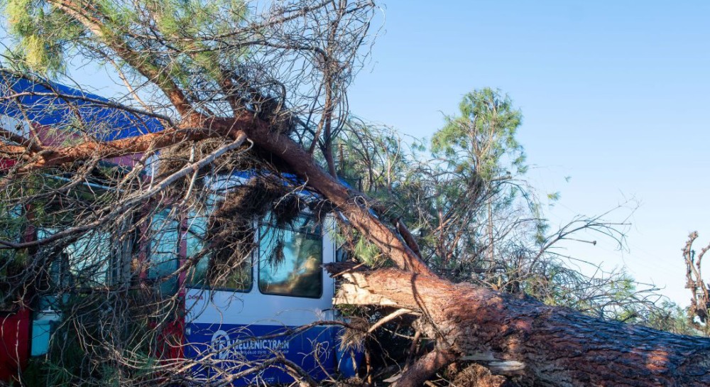 ΠΥΡΓΟΣ ΗΛΕΙΑΣ: Δέντρο έπεσε επάνω σε τρένο