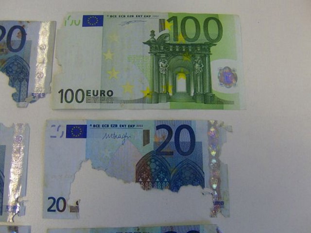 Ποντίκια έφαγαν 30.000 ευρώ!