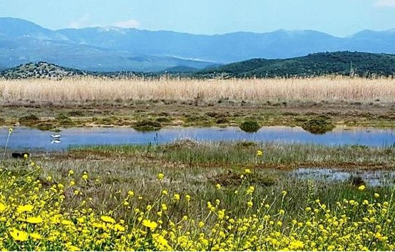 Ανοιξιάτικη επίσκεψη στον υγροβιότοπο του Κολοβρέχτη