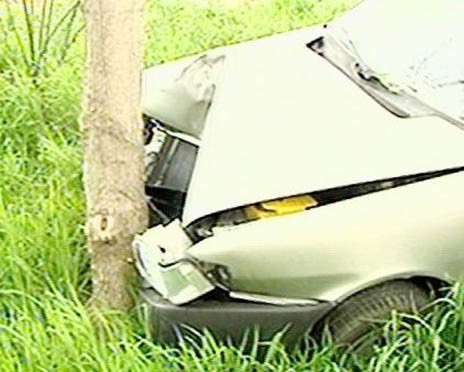 Για να αποφύγει τη μετωπική καρφώθηκε σε δέντρο