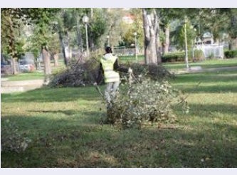 Παρεμβάσεις στα πάρκα από τις υπηρεσίες του Δήμου Χαλκιδέων