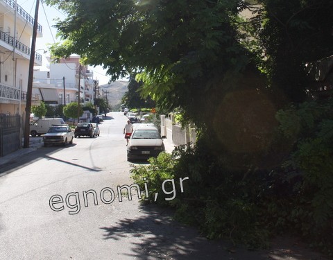 Δέντρο πλάκωσε ΙΧ στη Χαλκίδα