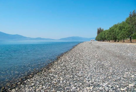 Λουόμενος από τα Ψαχνά πνίγηκε στα Πολιτικά
