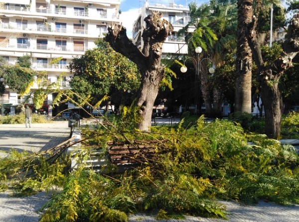 ΧΑΛΚΙΔΑ: Πήραν ...φωτιά τα πριόνια στην πλατεία του Αγίου Νικολάου