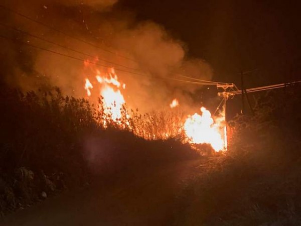 ΚΟΛΟΒΡΕΧΤΗΣ ΨΑΧΝΩΝ: Άρπαξε φωτιά στον υγροβιότοπο - Ανάστατοι οι κάτοικοι