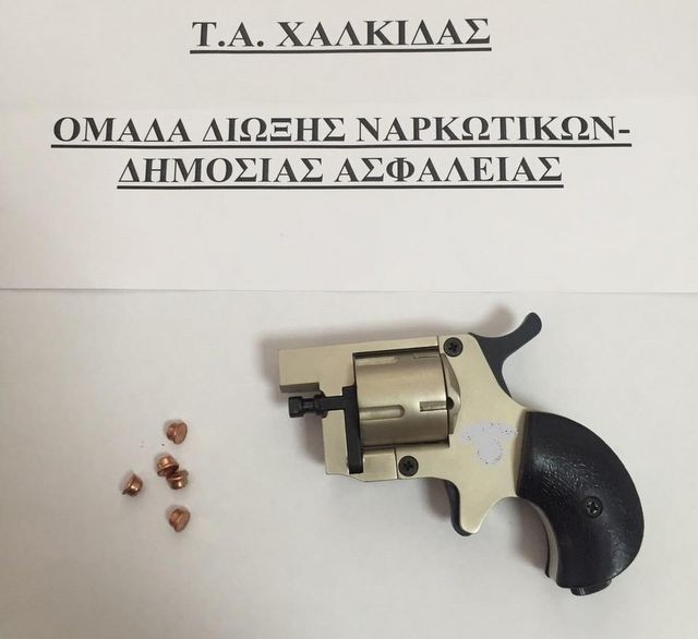 Συνέλαβαν 43 άτομα σε ένα 24ωρο στη Στερεά Ελλάδα