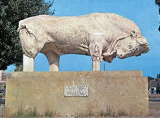 Φρένο στη λειτουργία του Αρχαιολογικού Μουσείου Βόρειας Εύβοιας