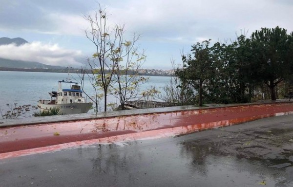 ΧΑΛΚΙΔΑ-ΑΠΙΣΤΕΥΤΟ: Με την πρώτη βροχή ξέβαψε ο φρεσκοβαμμένος ποδηλατόδρομος στην περιοχή της Αγίας Μαρίνας