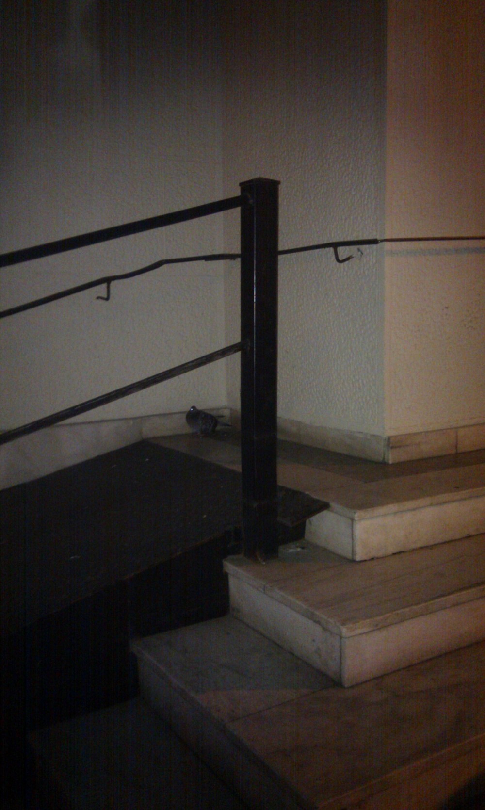 Απορώ πραγματικά ποιος έφτιαξε αυτή τη ράμπα...