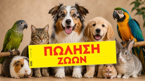 Πωλείται παπαγάλος