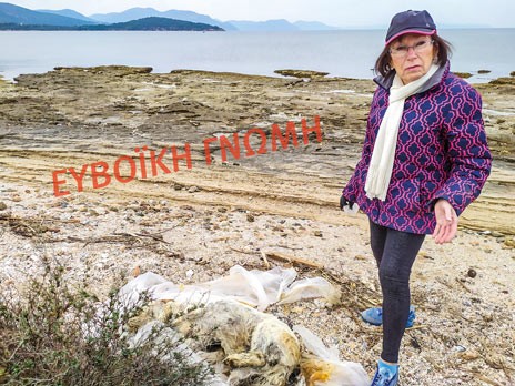 Κτηνωδία με σκύλο στις Αλυκές Δροσιάς