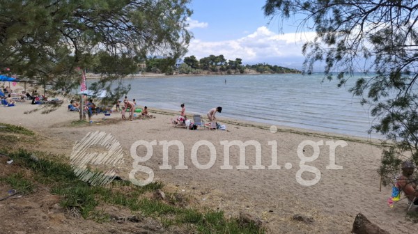 ΜΠΟΥΡΝΩΝΤΑΣ ΔΡΟΣΙΑ ΧΑΛΚΙΔΑΣ: Άδειασε η θάλασσα από τις τσούχτρες και τις σαλούφες