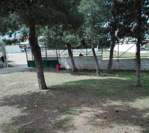 Συντήρηση και καθαρισμός χώρων πρασίνου σε Aρτάκη και Βατώντα