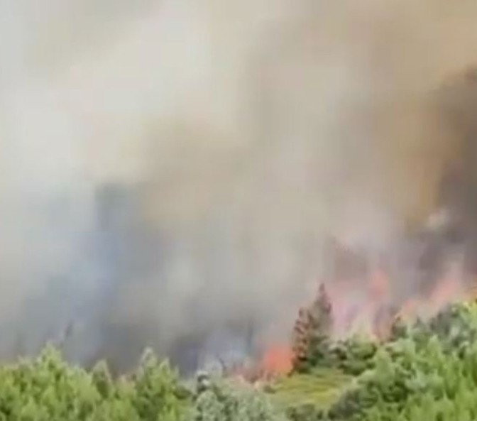 Σε ύφεση η φωτιά στον Κρεμαστό Εύβοιας