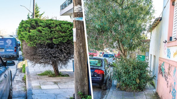 ΧΑΛΚΙΔΑ - ΛΕΩΦΟΡΟΣ ΧΑΪΝΑ: Απροσπέλαστα τα πεζοδρόμια