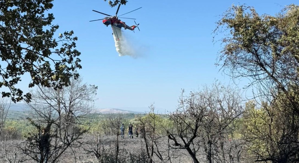 ΠΥΡΚΑΓΙΑ ΛΟΥΤΣΑ: Oριοθετήθηκε μετά από κινητοποίηση των πυροσβεστικών δυνάμεων