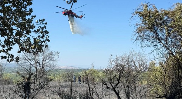 ΠΥΡΚΑΓΙΑ ΛΟΥΤΣΑ: Oριοθετήθηκε μετά από κινητοποίηση των πυροσβεστικών δυνάμεων