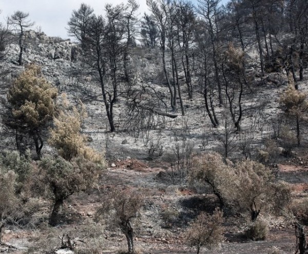 ΦΩΤΙΑ ΕΥΒΟΙΑ: Η καταστροφή όπως καταγράφεται από δορυφόρο