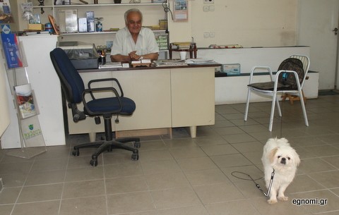 Η Άντζυ ποζάρει στο φακό