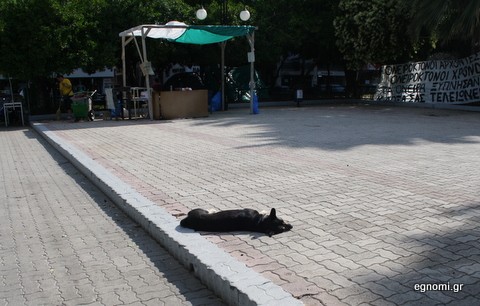 Κοιμισμένος και όχι ... αγανακτισμένος