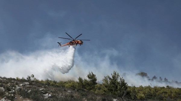ΠΑΝΑΓΙΑ ΕΥΒΟΙΑΣ: Φωτιά σε αγροτοδασική έκταση το απόγευμα του Σαββάτου