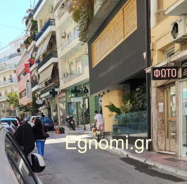 ΧΑΛΚΙΔΑ: Αδέσποτο αναστάτωσε την Αβάντων