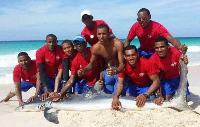 Τράβηξαν καρχαρία στη στεριά για να βγάλουν σέλφι! (VIDEO)