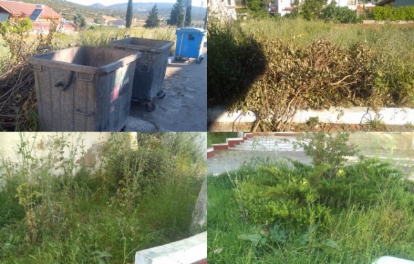 ΚΑΤΑΓΓΕΛΙΑ: Εικόνα εγκατάλειψης στην κεντρική πλατεία του Δοκού
