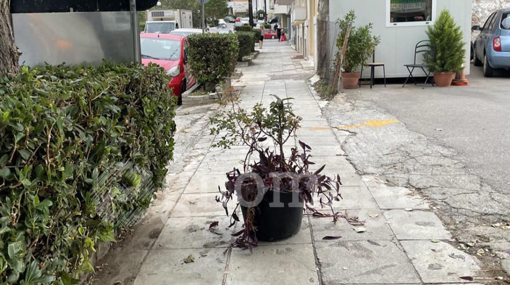 ΟΔΟΣ ΜΙΑΟΥΛΗ ΧΑΛΚΙΔΑ: «Στόλισαν» το πεζοδρόμιο με γλάστρα