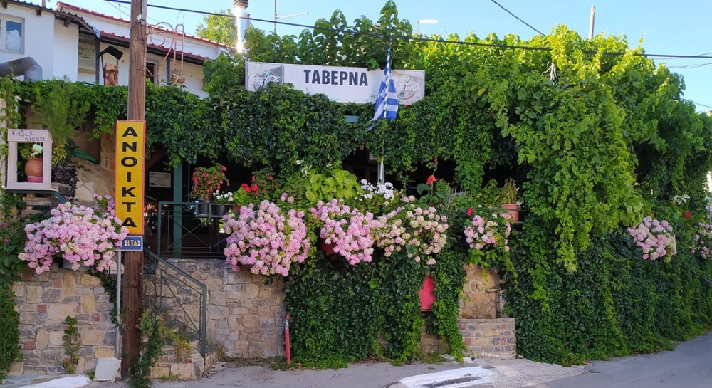 ΕΛΑΤΟΣ ΣΕΤΑ: Nτόπια κρέατα που κλέβουν την παράσταση!